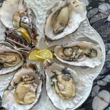 Sailor Oyster Bar