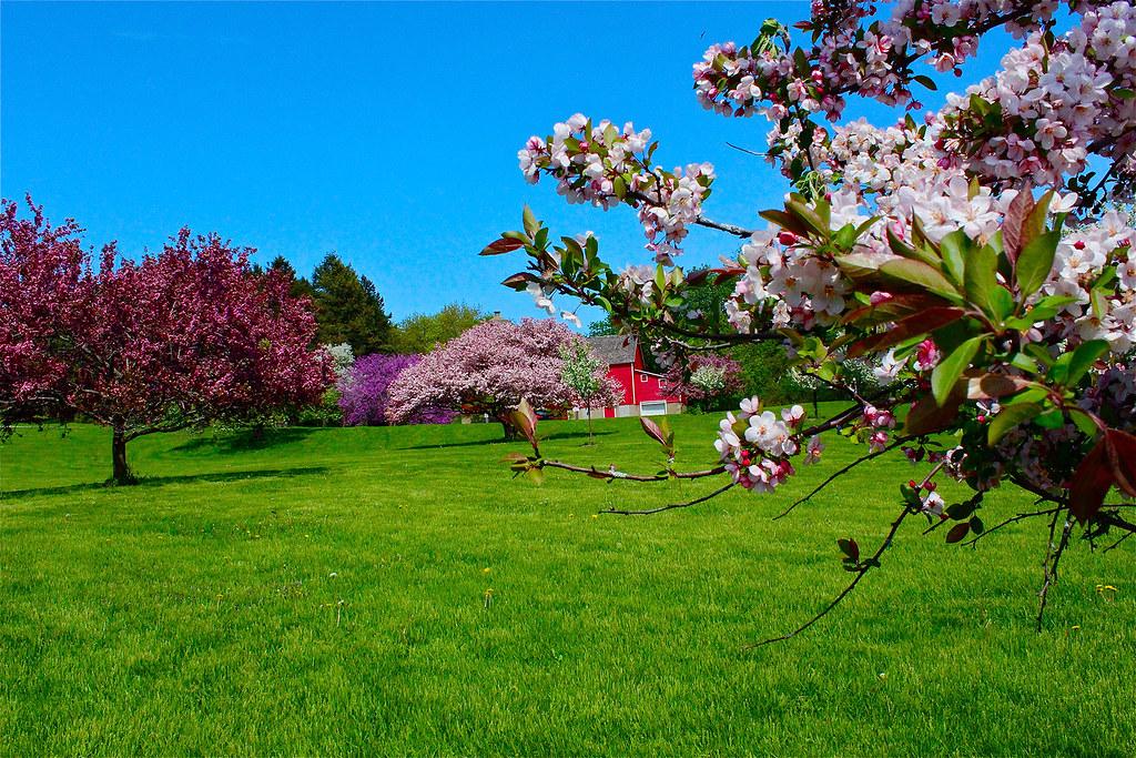 The Wedding Website of Audrey Eshleman and Johnny Little