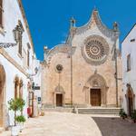 Guided Tours
