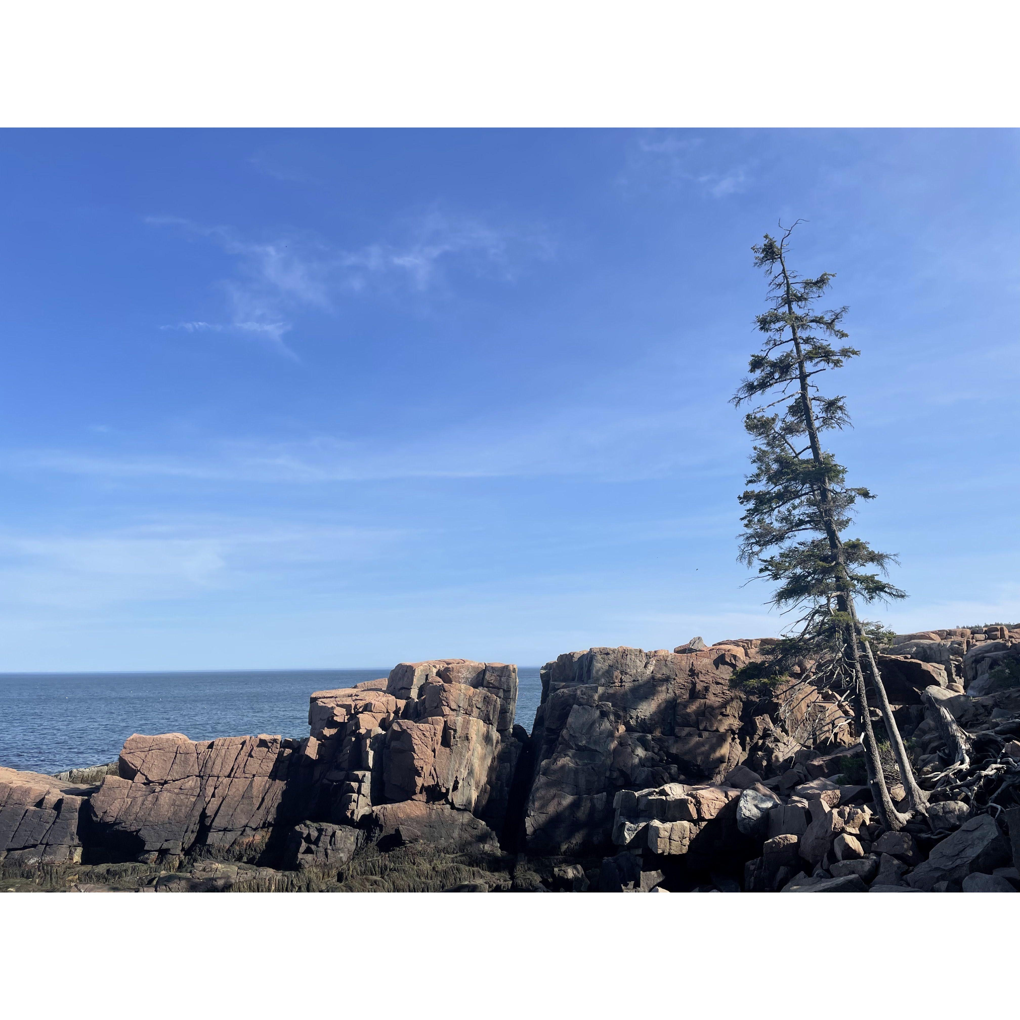 Ocean path walk