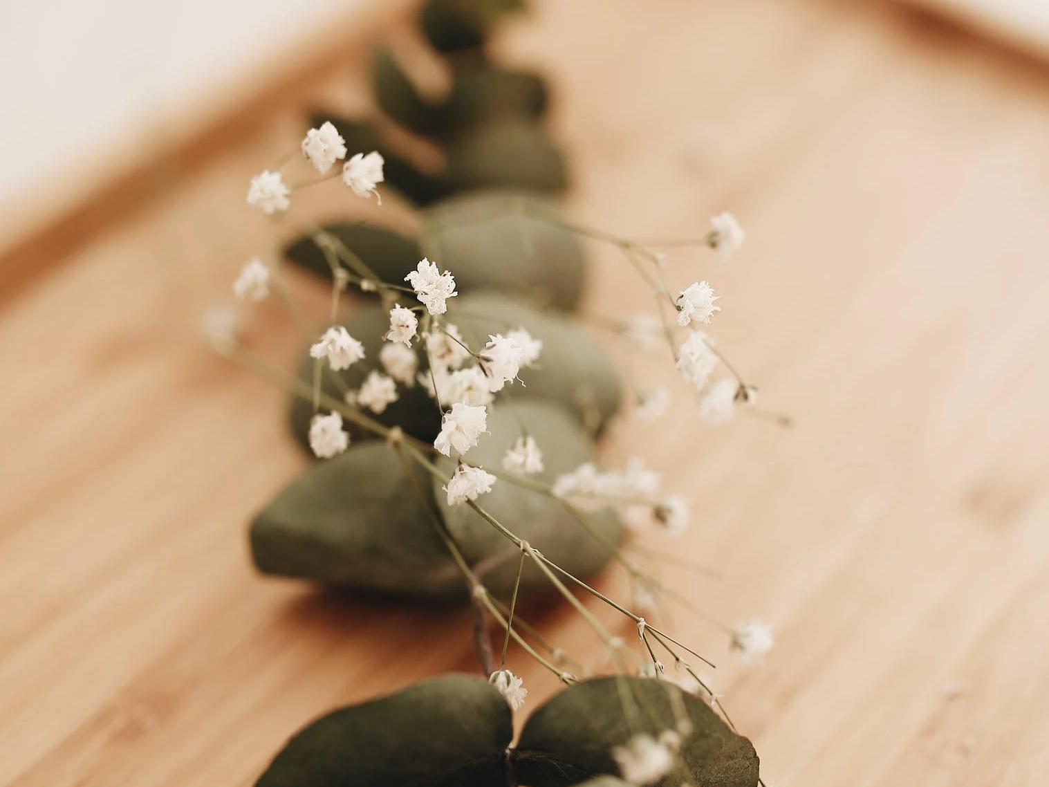 The Wedding Website of Bailey Hebert and Donald Mclean