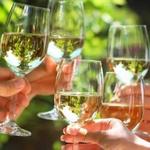 Wine Festivals
