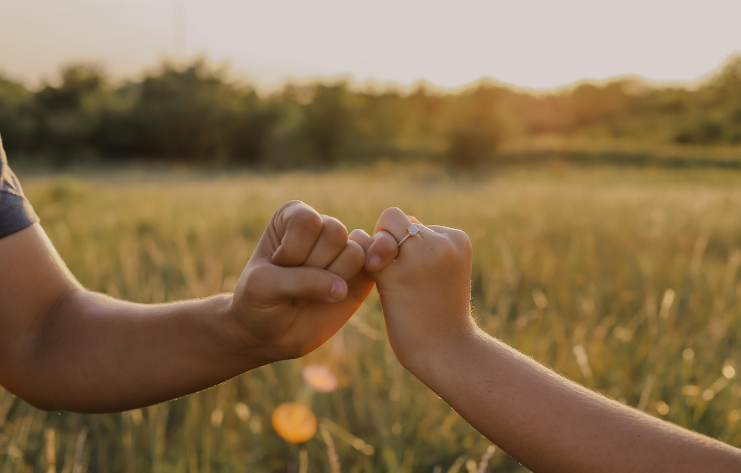The Wedding Website of Logan Sterk and Lexis Brewer