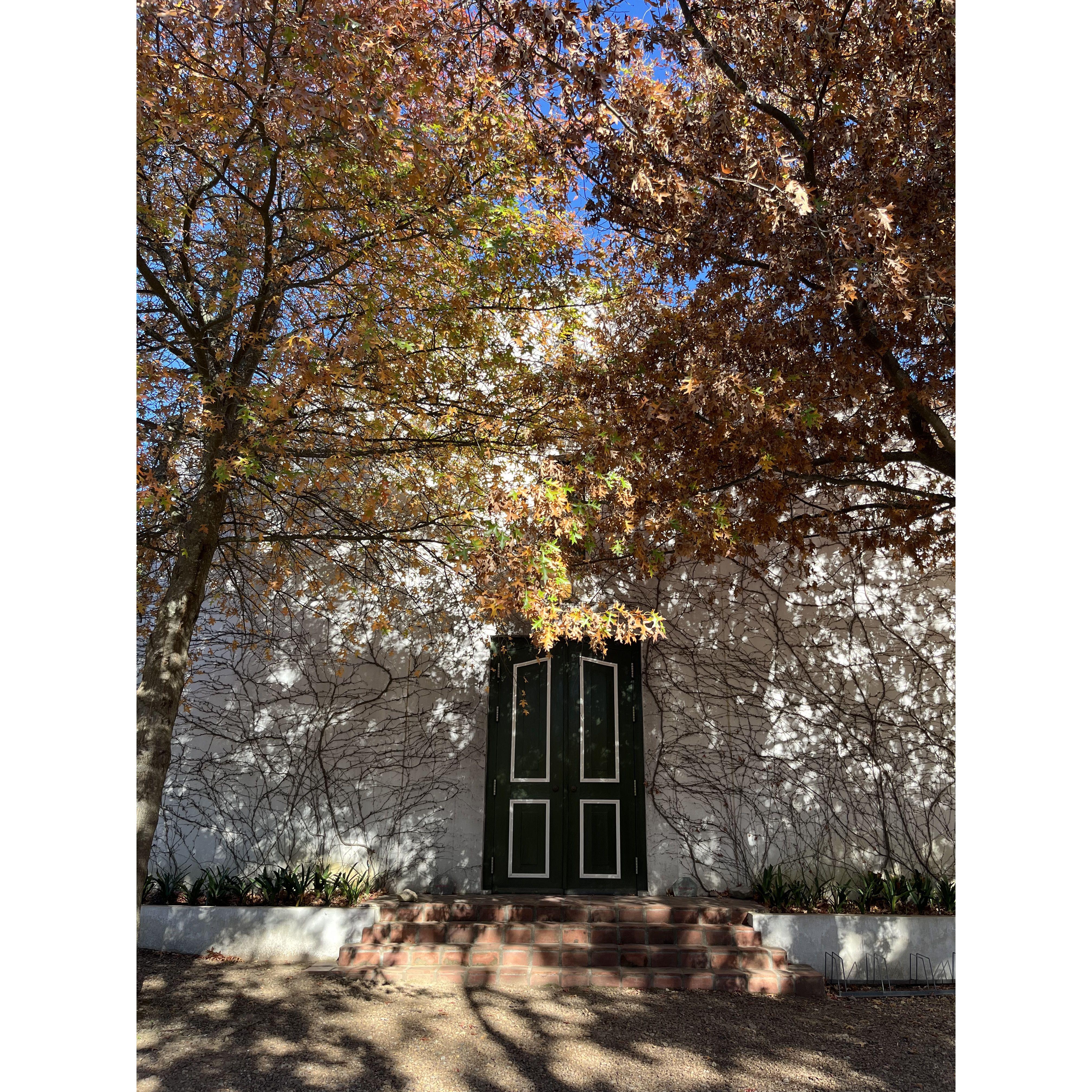 Autumn in South Africa, May 2024