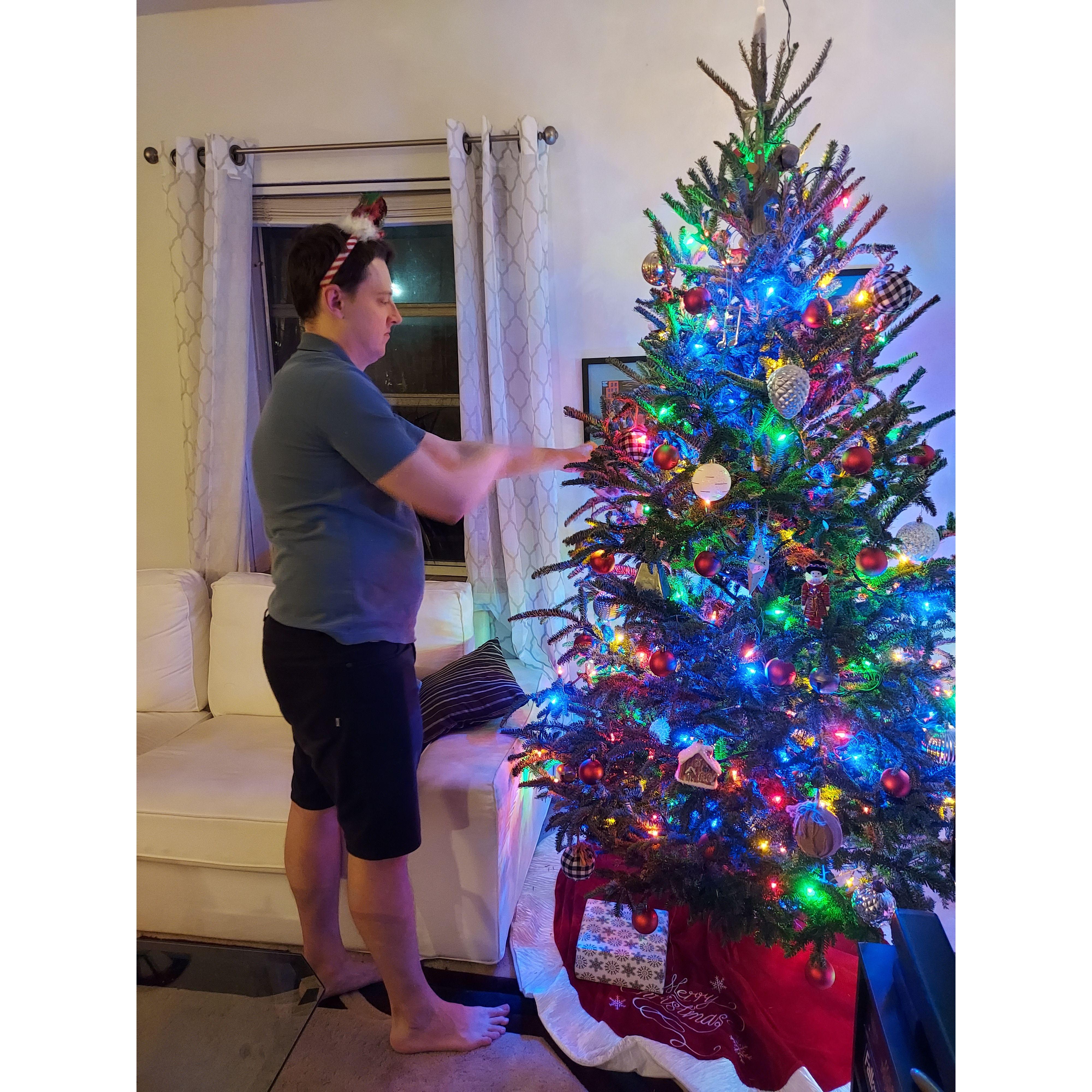 Decorating the Christmas tree.
