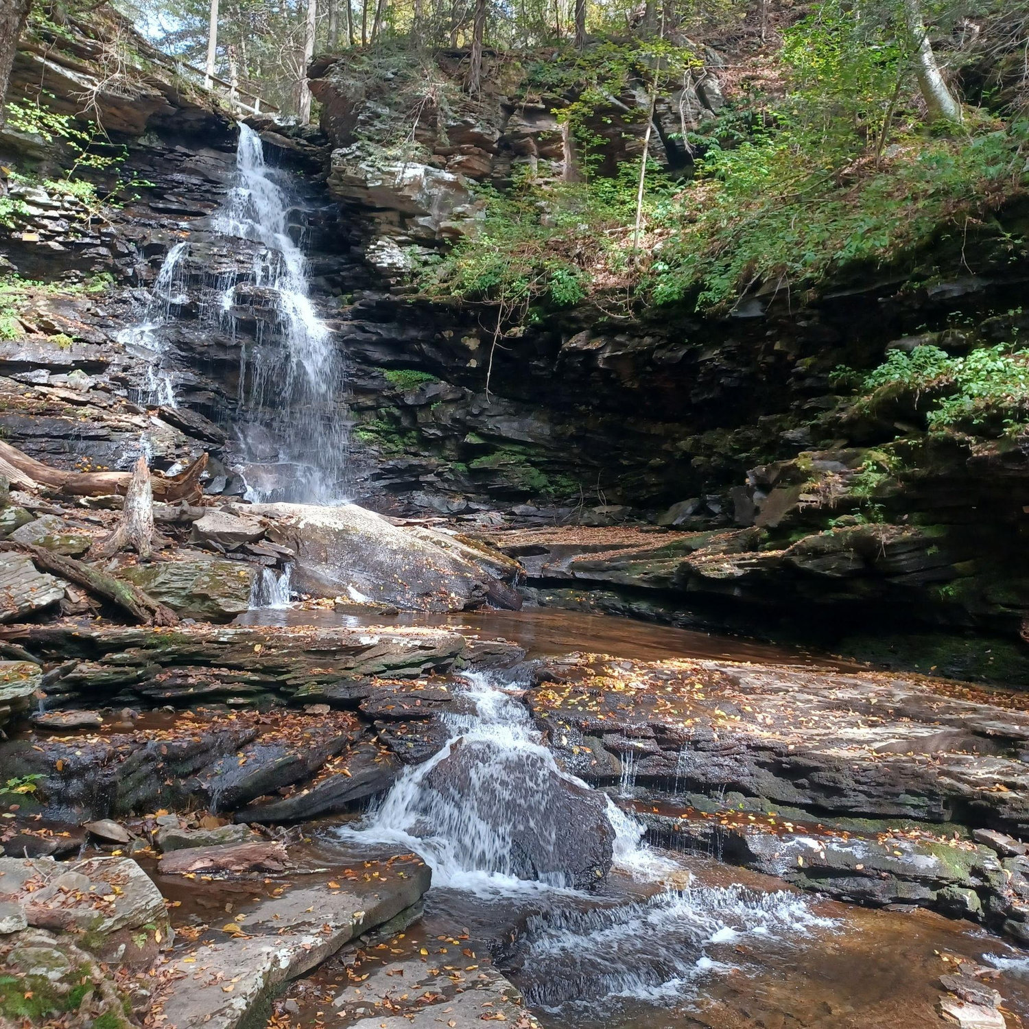 Rickett's Glen