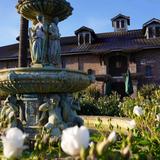 Rubino Estates Winery