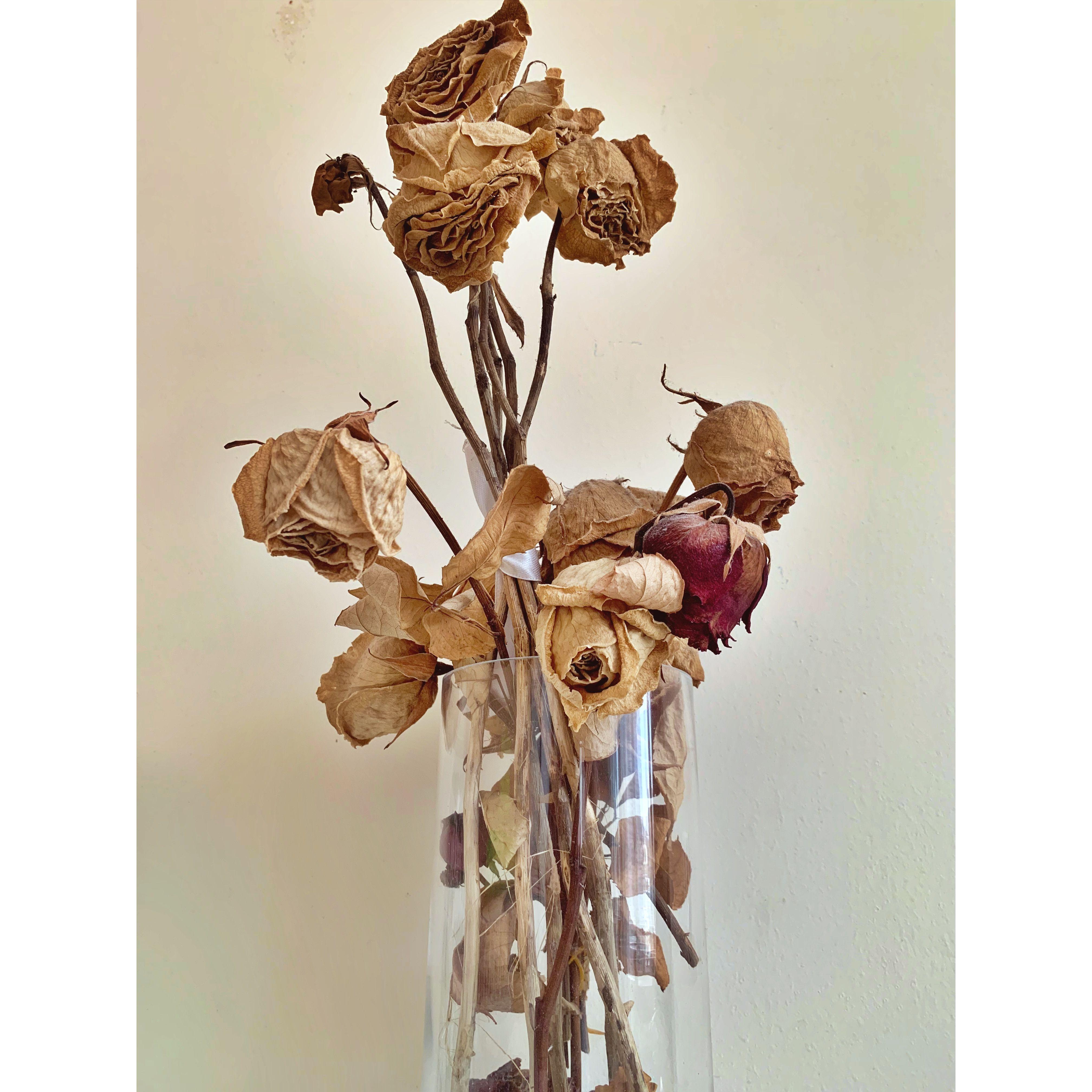 Alyssa loves white roses. When she was contemplating their wedding theme, she noticed that the white roses she adored gradually transitioned into shades of beige and brown. This realization inspired the color theme for their wedding.