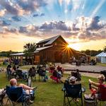BarnHill Vineyard