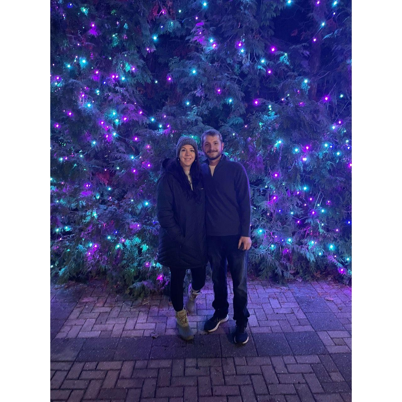 Zoo lights