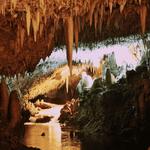 Harrison's Cave Eco-Adventure Park