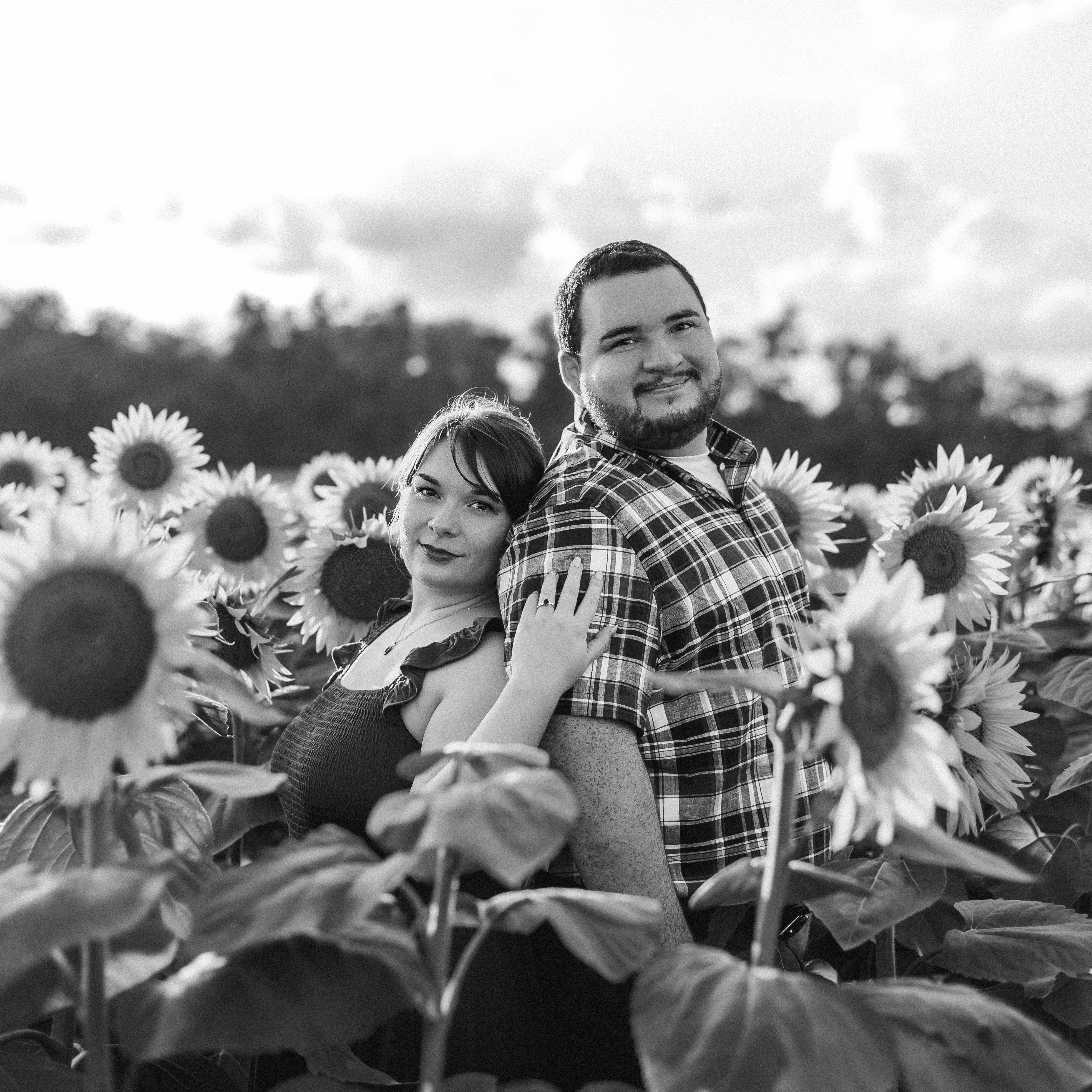 Lesher's Sunflower Field | Chambersburg, PA | @ccphotography_2015 - Instagram