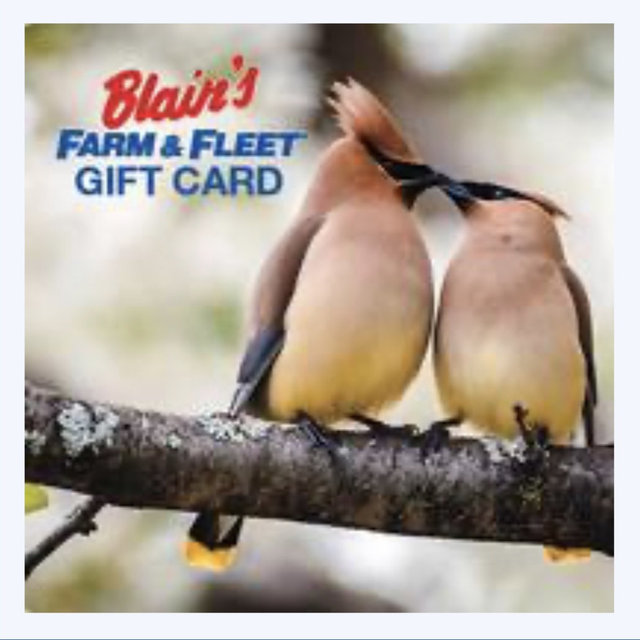 Blain's Farm & Fleet Gift Card