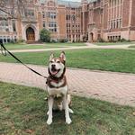 University of Washington