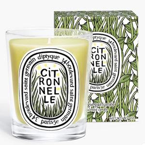 Citronnelle (Lemongrass) - Classic Candle | Diptyque Paris