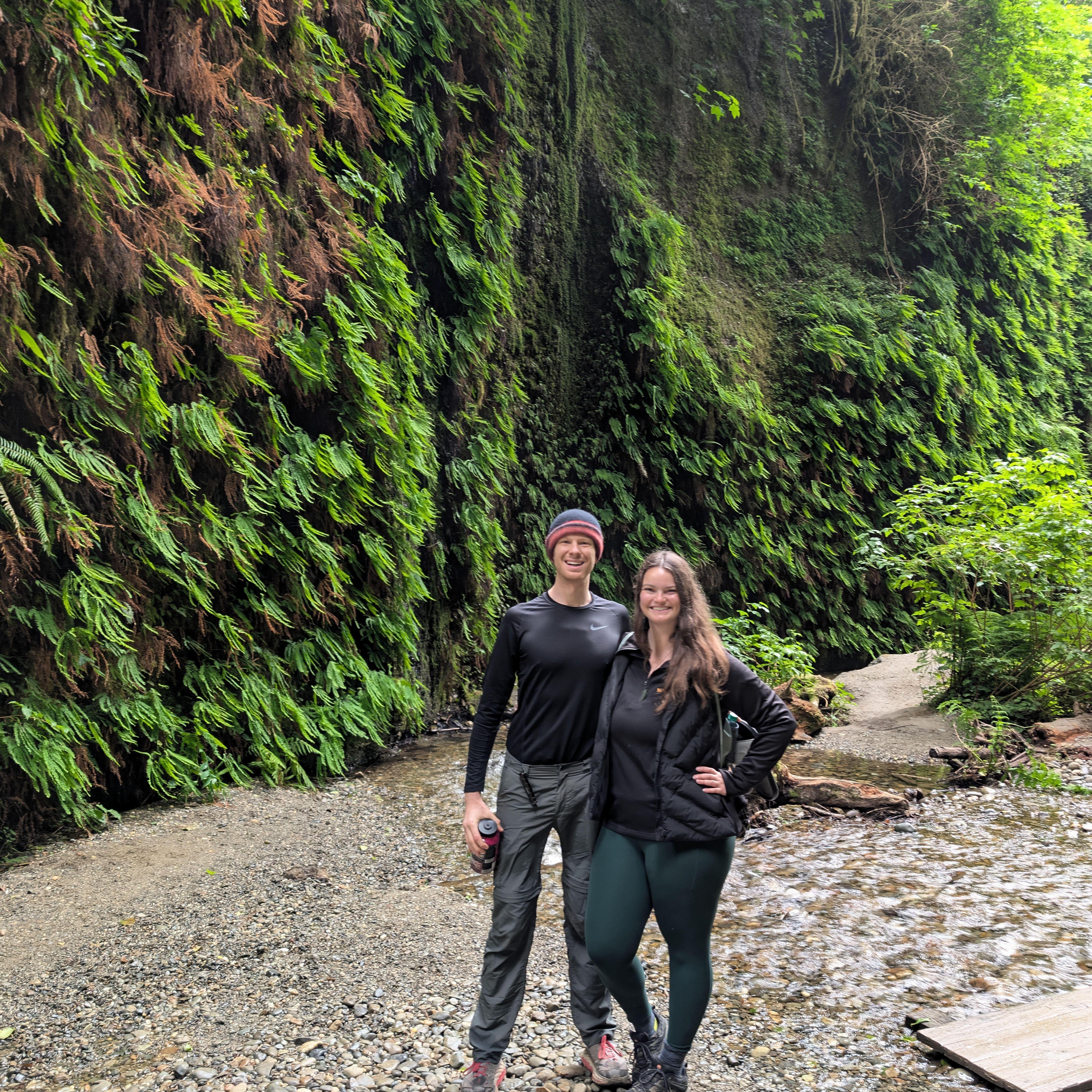 Fern Canyon, Redwoods, CA!