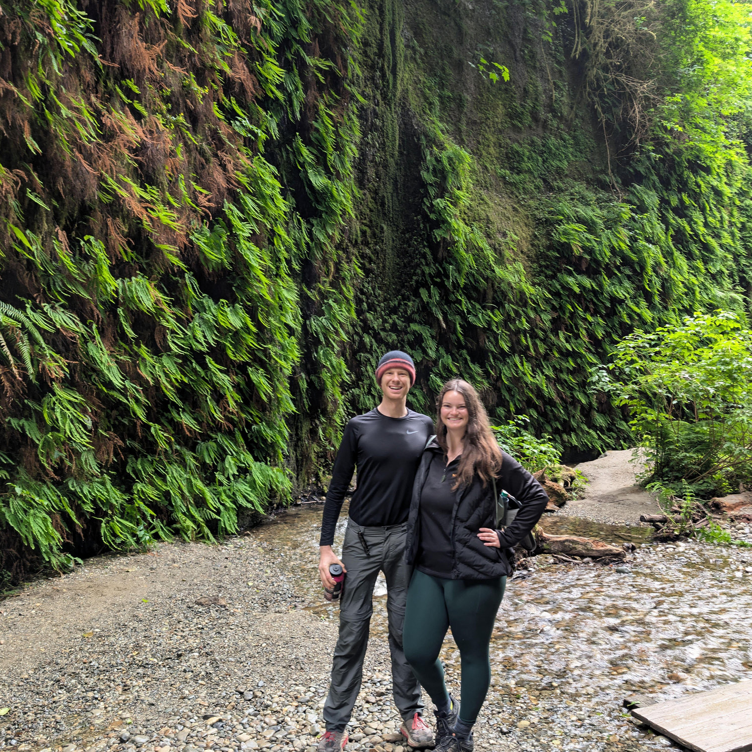 Fern Canyon, Redwoods, CA!
