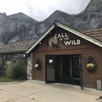 Call of the Wild Museum