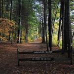 Wells State Park