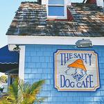 Salty Dog Cafe Seabrook