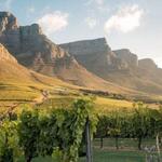 Cape Winelands