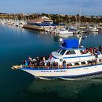 Dana Wharf Sportfishing & Whale Watching