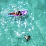 Aloha Surf Lessons