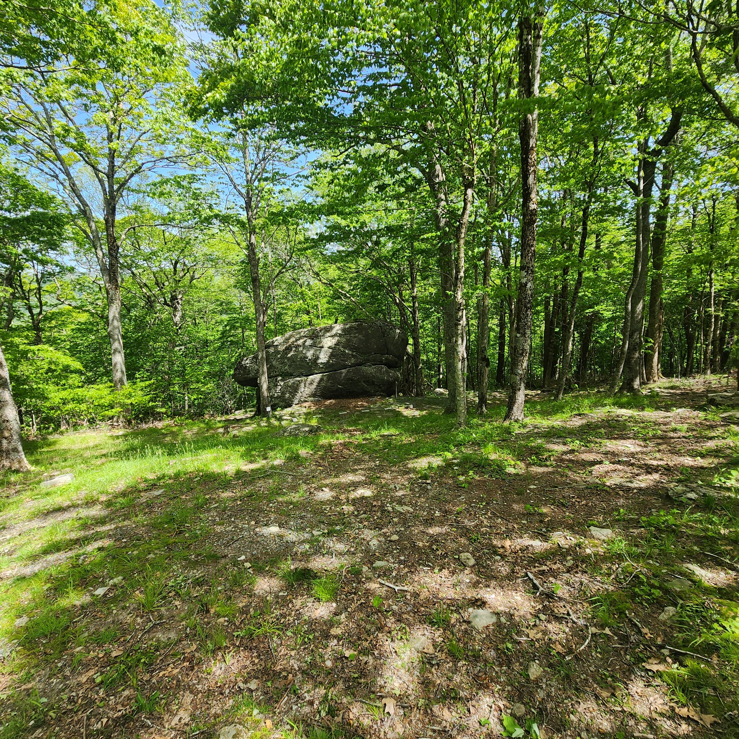 The brown area is where the bleachers are, and the ceremony will be in front of the split boulder at the bottom. We recommend bringing a camp chair for maximum comfort.