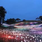 Sensorio Field of Light Art Installation