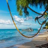 Catamaran Excursion
