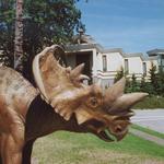 Bruce Museum