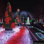 Missouri Botanical Garden