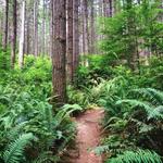 Port Gamble Forest Heritage Park