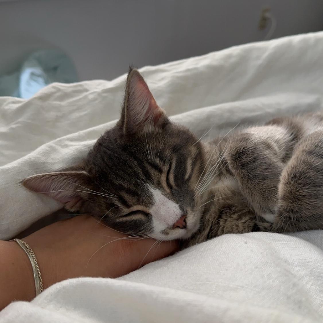 Our first furr baby together