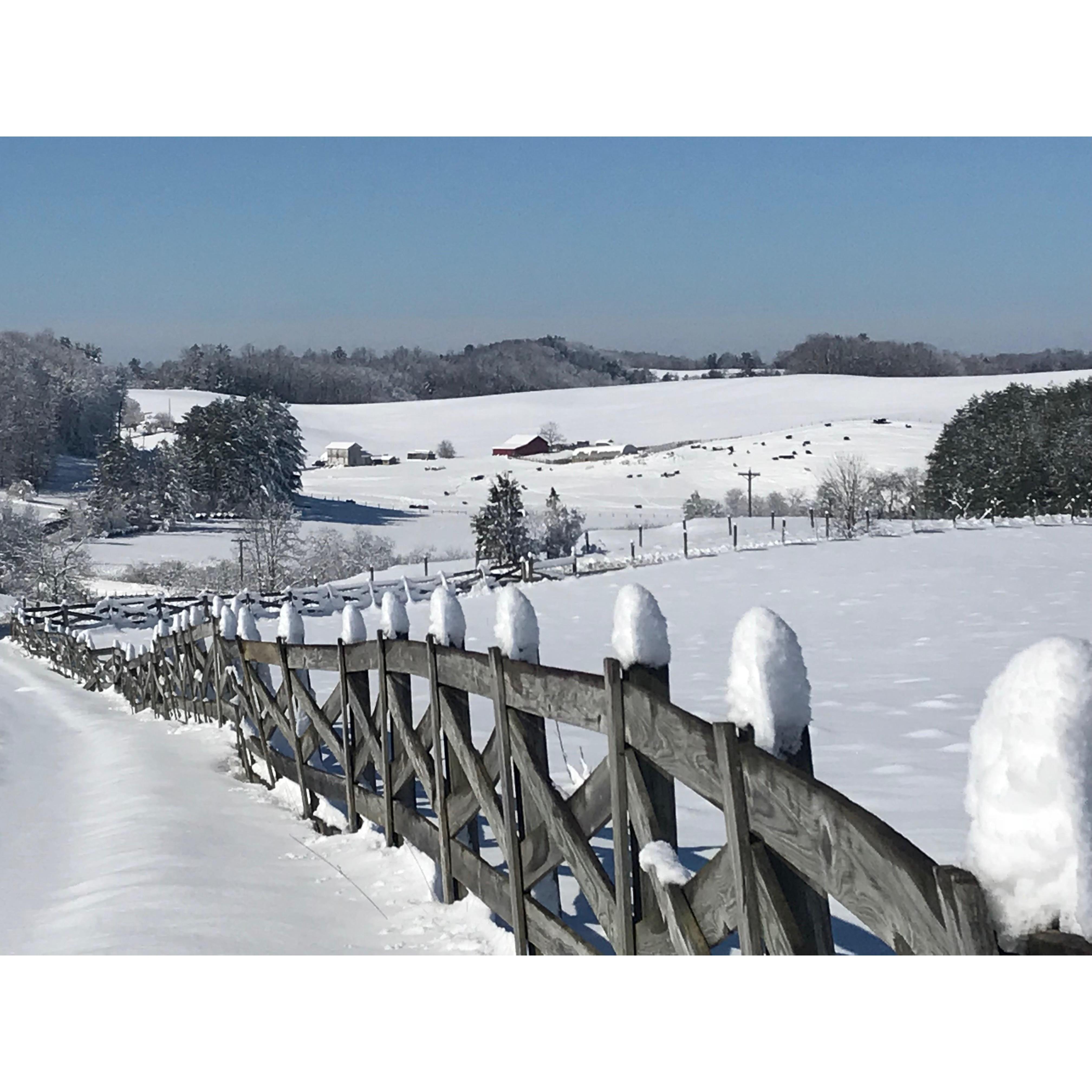 Winter at the Happy Pasture