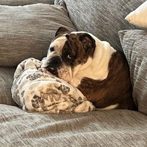 Couch Fund
