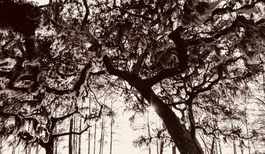 The Wedding Website of Jessica Blain and Alex Rosa