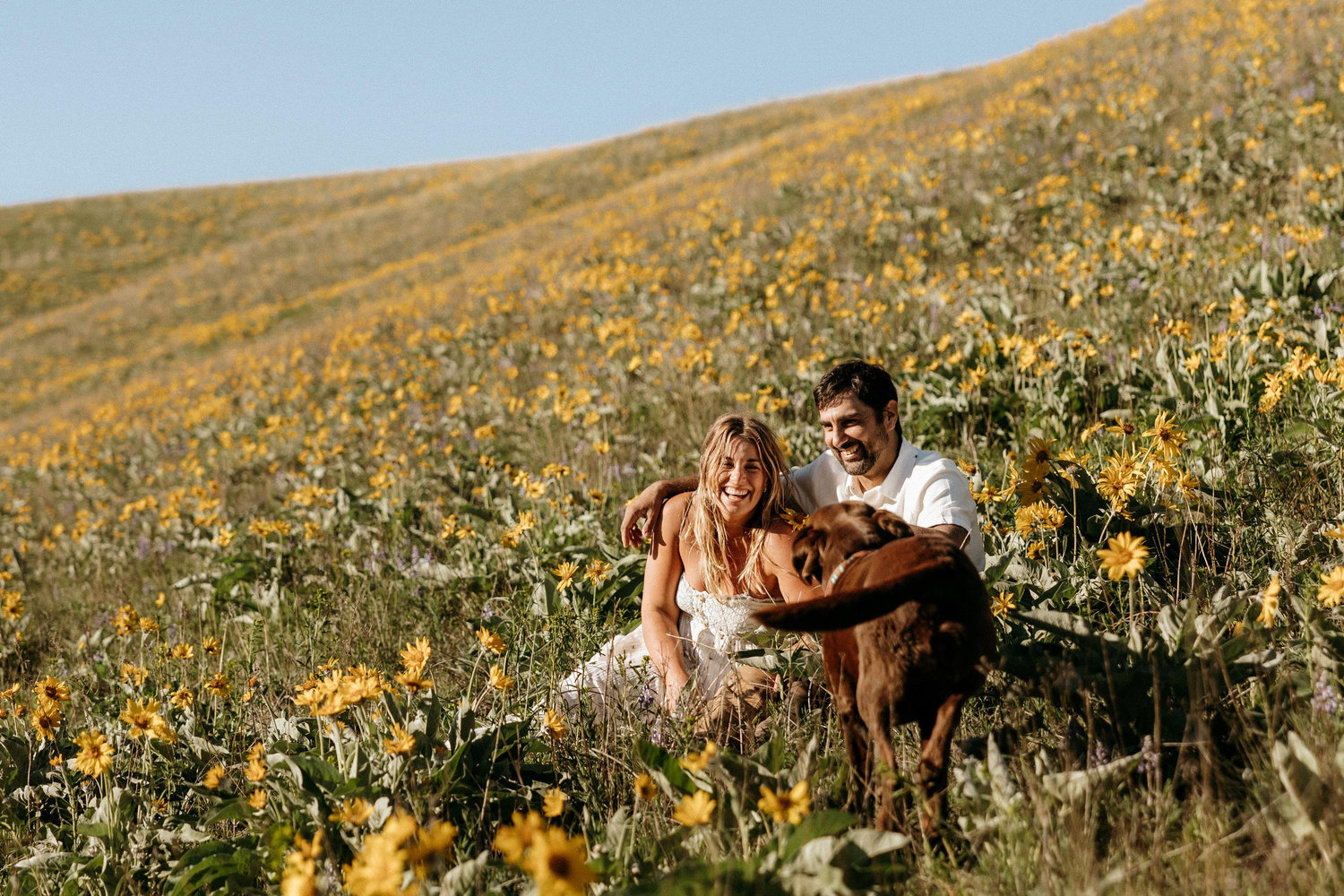 The Wedding Website of CHRISTINE STOCKWELL and WILLIAM HUTCHINSON