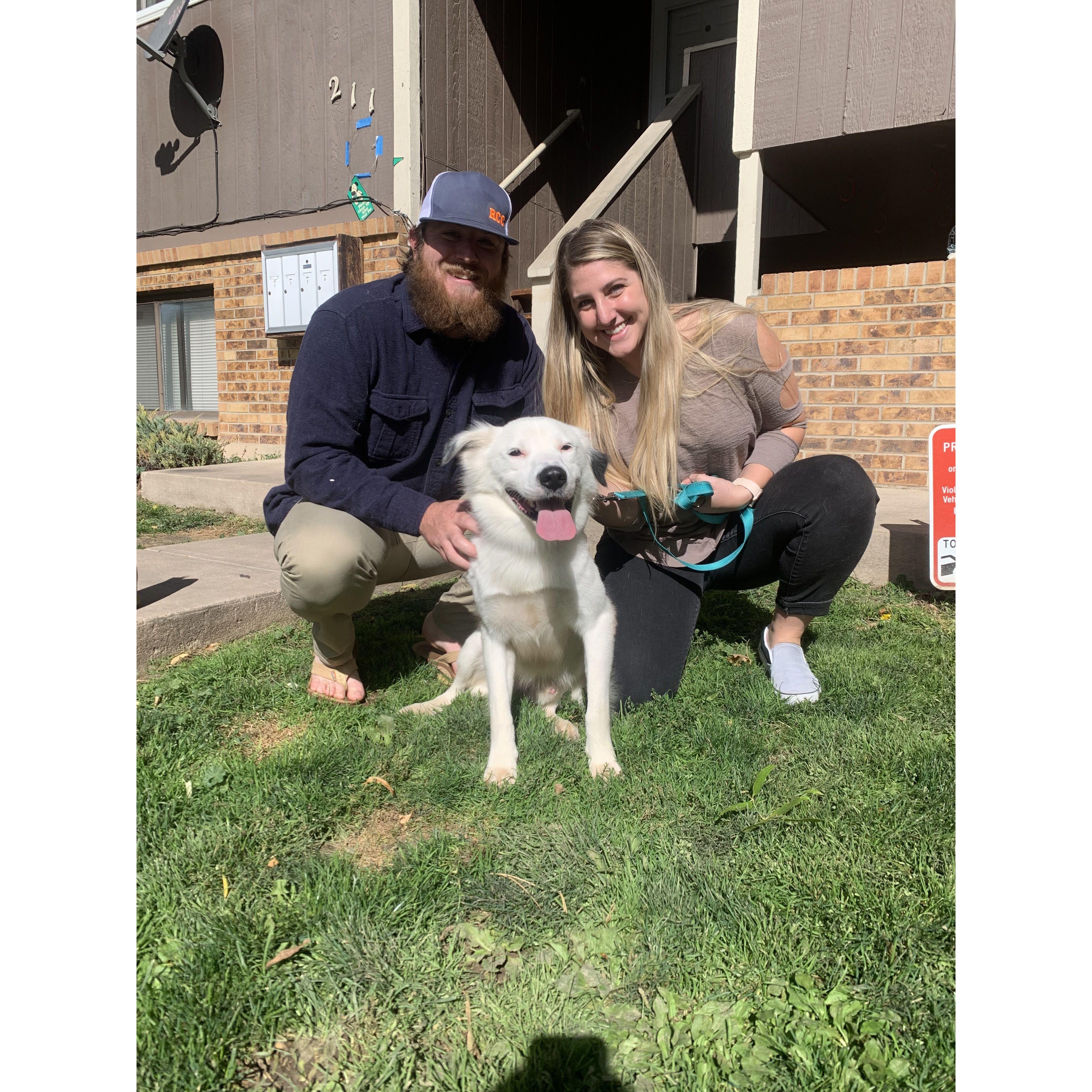 The day we brought Bowie home (best day ever!). Fort Collins, CO 2021