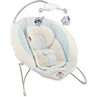 Fisher-Price Moonlight Meadow Deluxe Bouncer