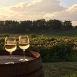 For the Wine, Craft Beer or Cider Enthusiasts