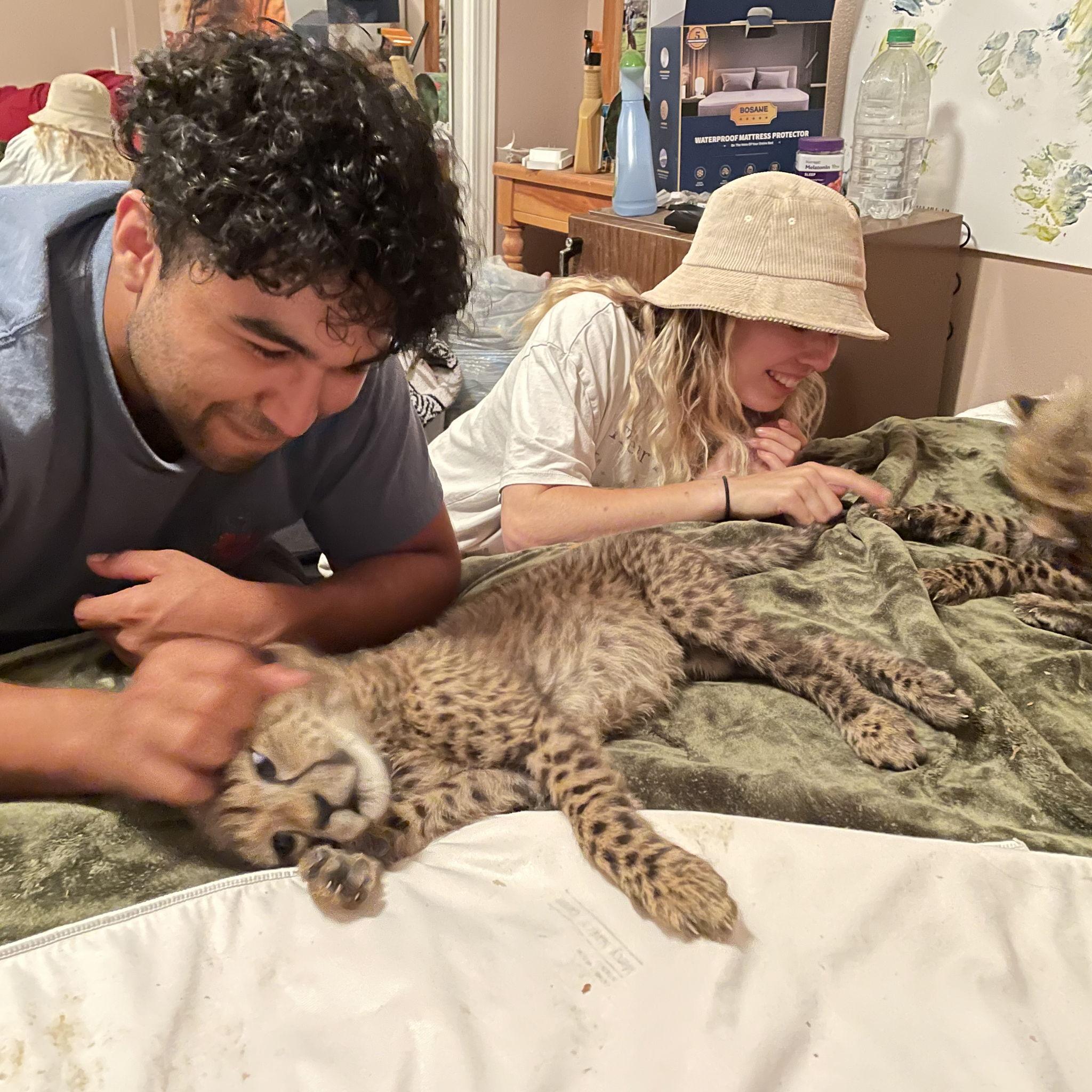 baby cheetahs becuase why not