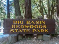 Big Basin Redwoods State Park