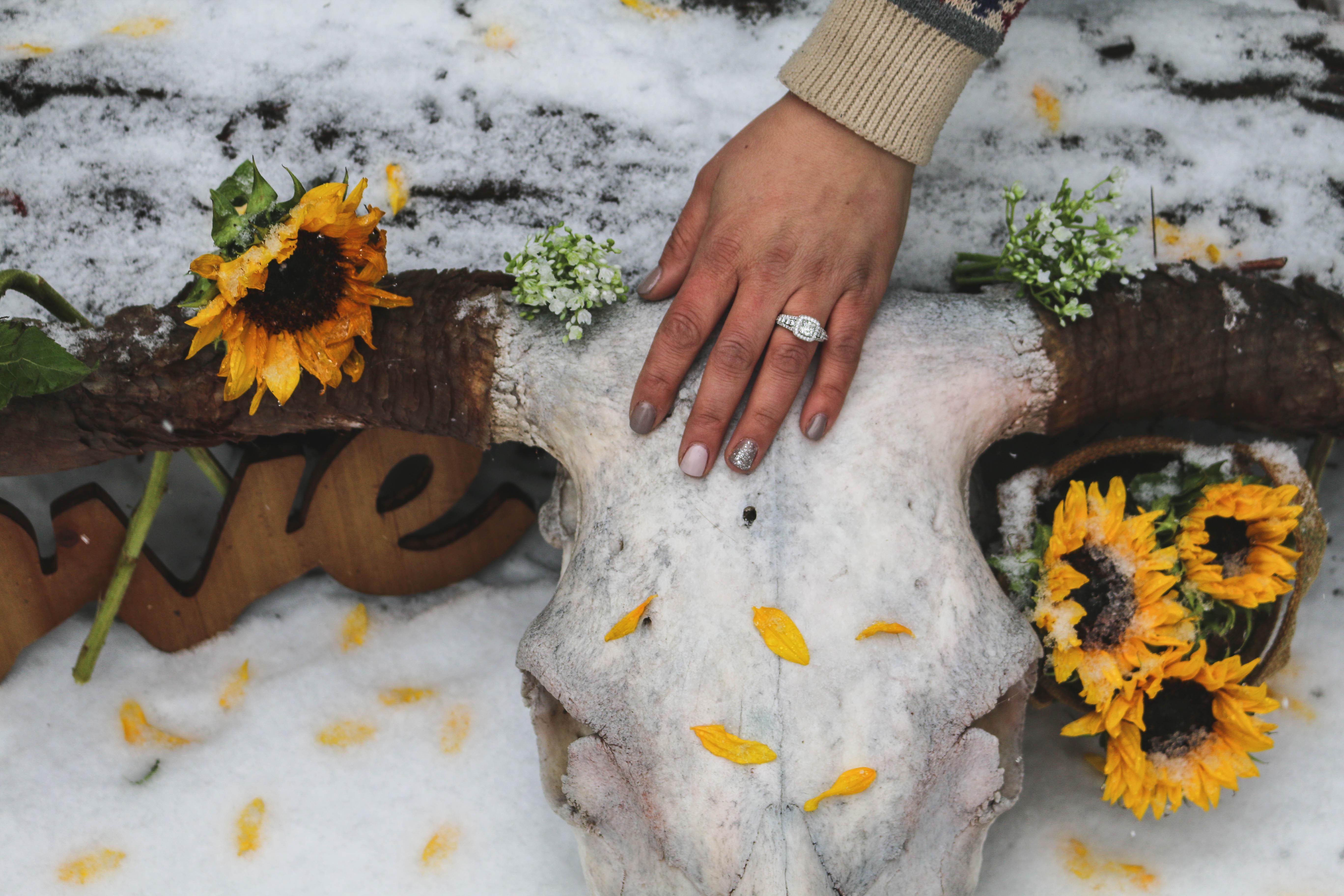 The Wedding Website of Alexis Weaver and Nicolas Garcia