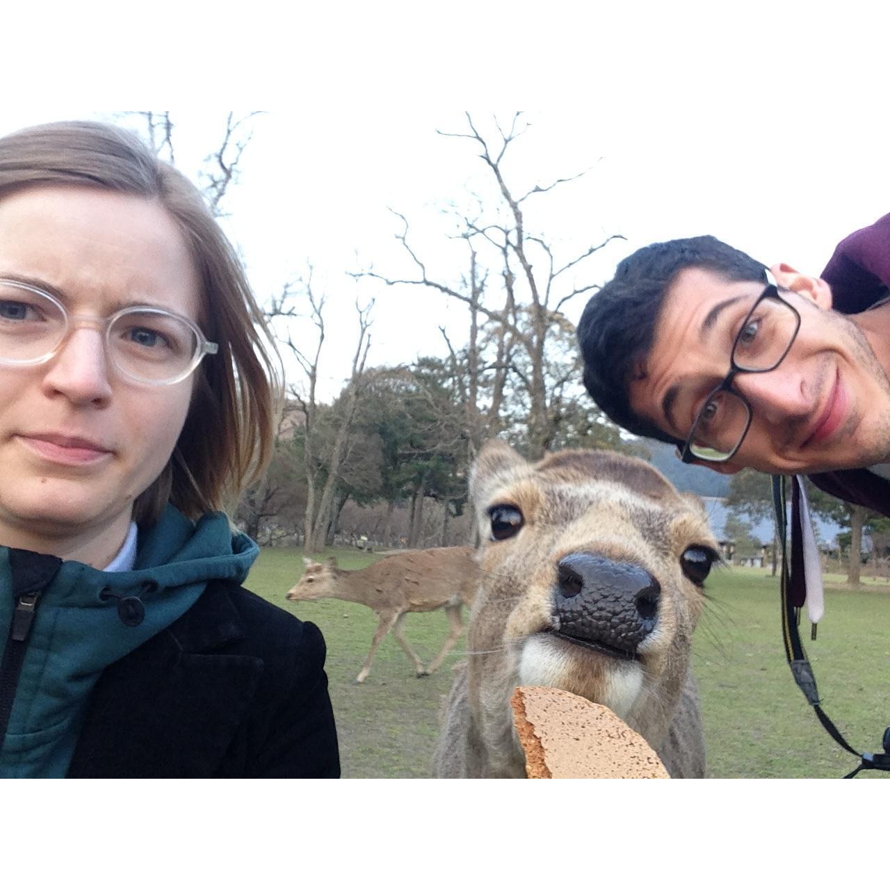 This deer personally witnessed our engagement. We had to bribe him with a cracker for the photo. Nara, Japan