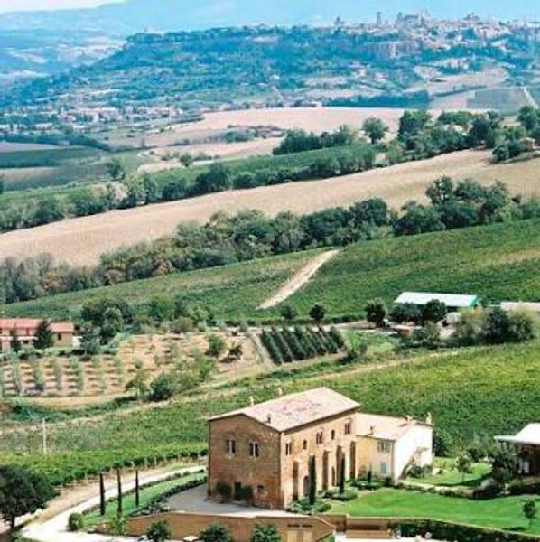 Palazzone Winery Tour and Lunch