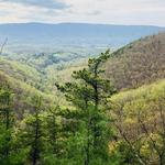 Poor Mountain Trail