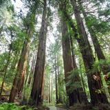 Muir Woods Visitor Center