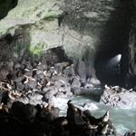 Sea Lion Caves