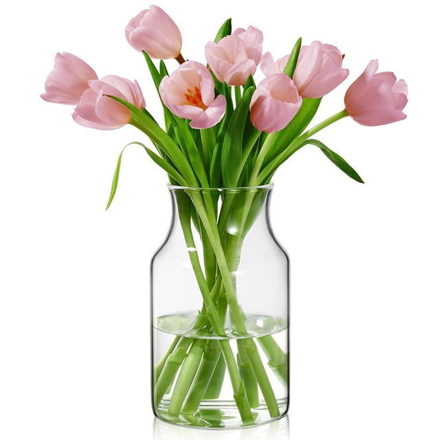 BWODYAY Clear Glass Vase, 8 inch Glass Flower Vase for Plants, Small Vase for Vases for Centerpiece, Home, Wedding, Living Room, Dining Table